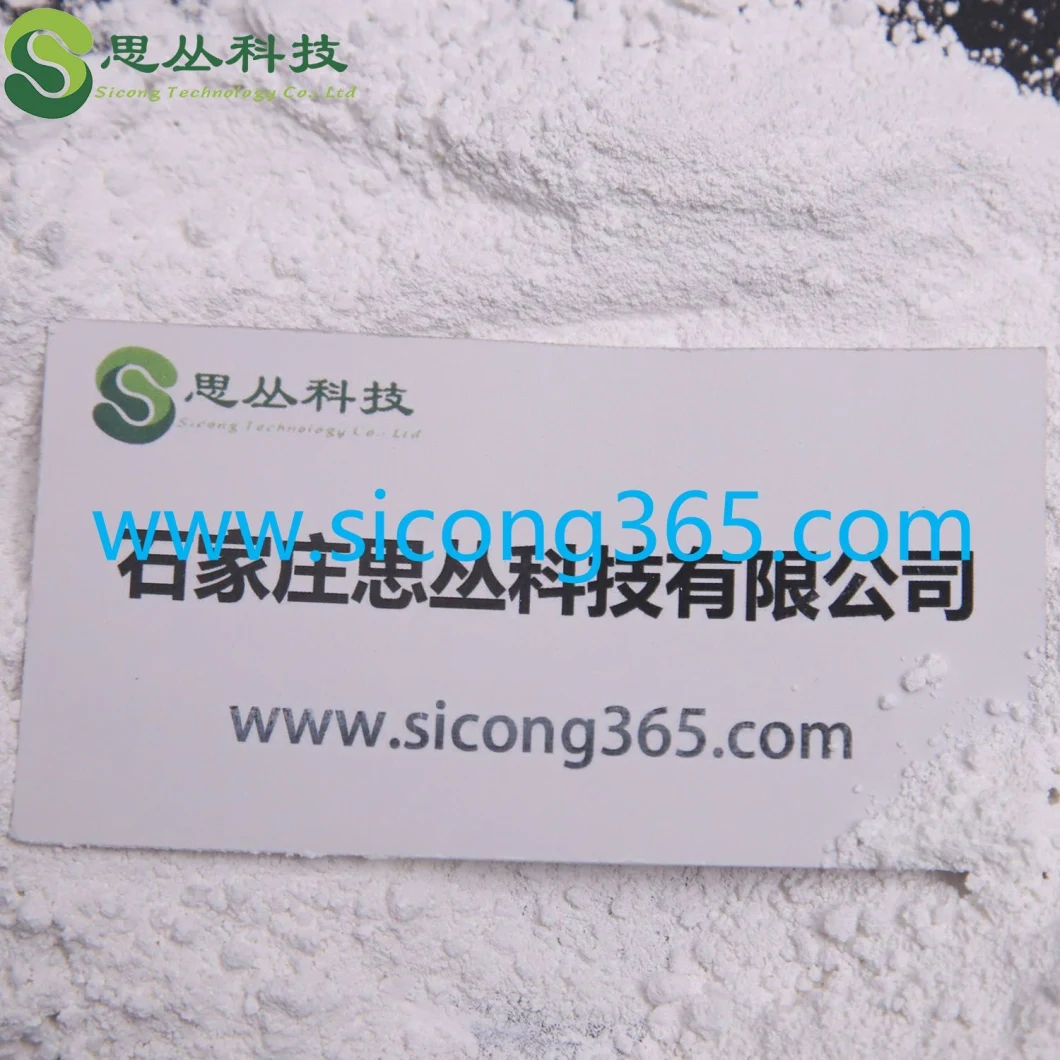 Factory Supply White Powder Nano Silicon Dioxide Sio2