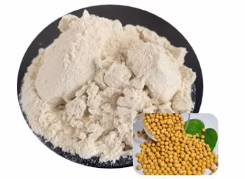 Processing Additives Silica Gel Powder for PU Foam